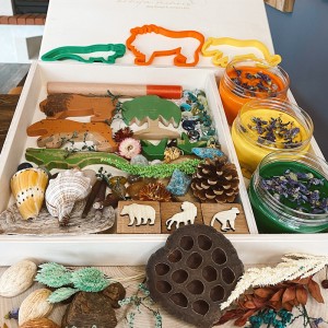 Amazon Play Dough Kit