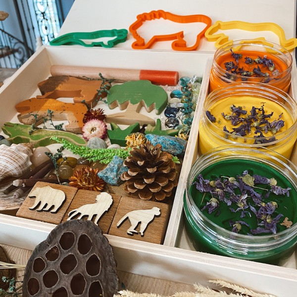 Amazon Play Dough Kit