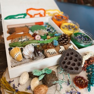 Amazon Play Dough Kit