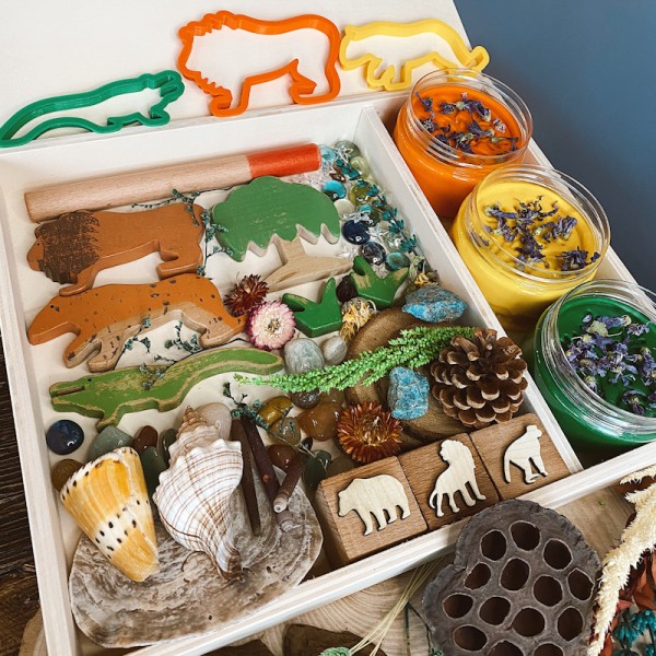 Amazon Play Dough Kit