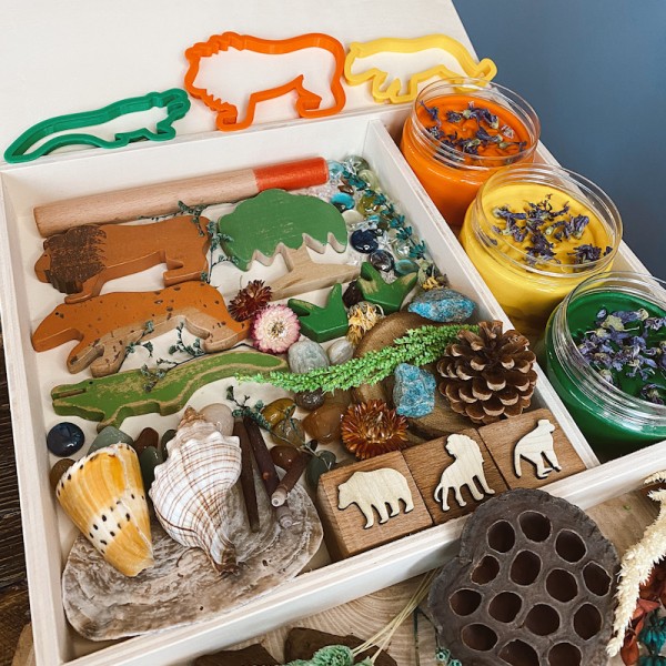 Amazon Play Dough Kit