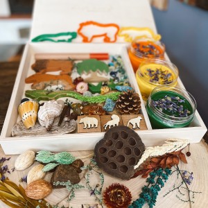 Amazon Play Dough Kit