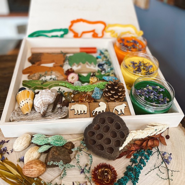 Amazon Play Dough Kit