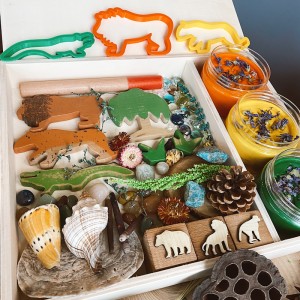 Amazon Play Dough Kit