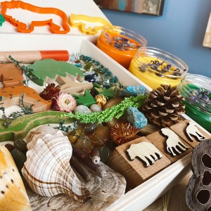 Amazon Play Dough Kit