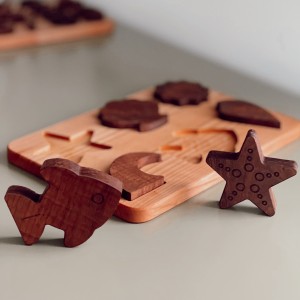 Deniz Canlıları Puzzle ve Aktarma Çalışmaları