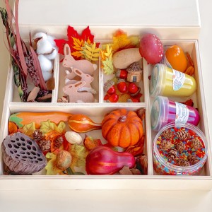Fall Play Doug Sensory Kit