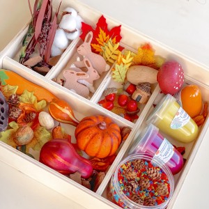 Fall Play Doug Sensory Kit