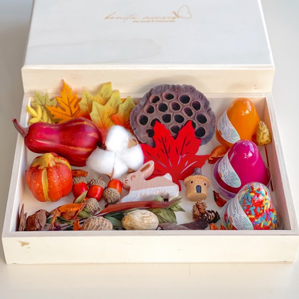 Fall Play Dough Sensory Kit Mini