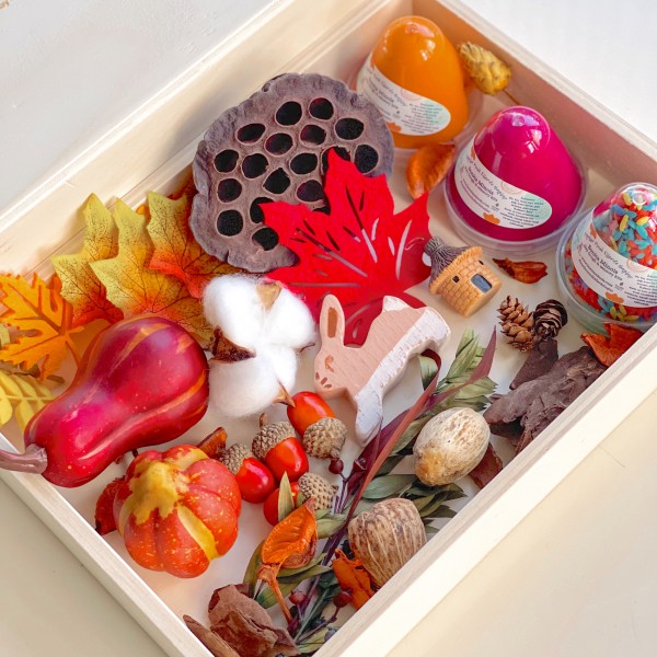 Fall Play Dough Sensory Kit Mini