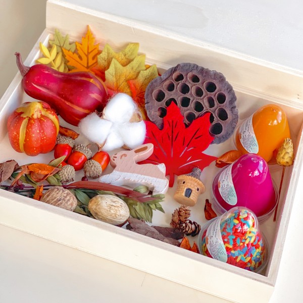 Fall Play Dough Sensory Kit Mini