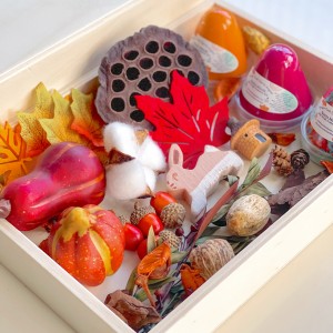 Fall Play Dough Sensory Kit Mini