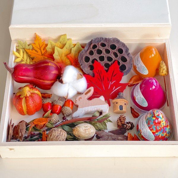 Fall Play Dough Sensory Kit Mini
