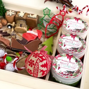 Noel Baba Geliyor Duyusal Oyun Kiti