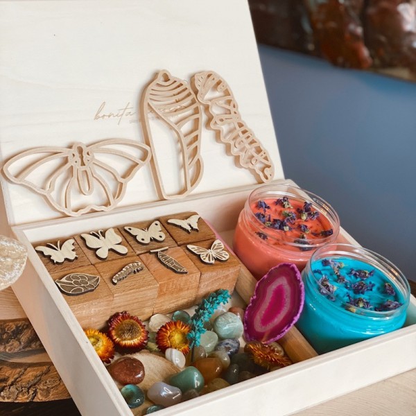 Butterfly Life Cycle Kit