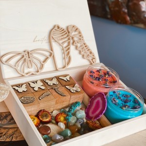 Butterfly Life Cycle Kit