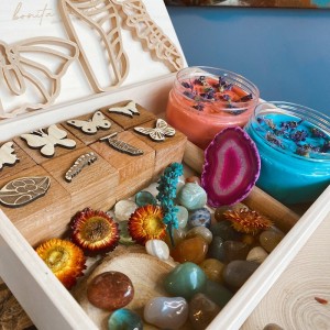 Butterfly Life Cycle Kit