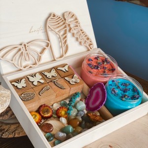 Butterfly Life Cycle Kit