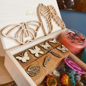 Butterfly Life Cycle Kit