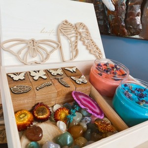 Butterfly Life Cycle Kit