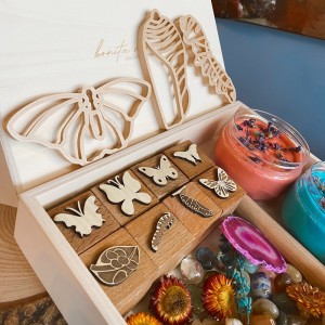 Butterfly Life Cycle Kit