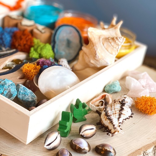 Coral Reef Play Dough Kit