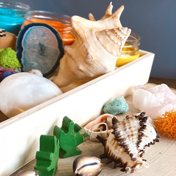 Coral Reef Play Dough Kit