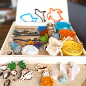Coral Reef Play Dough Kit