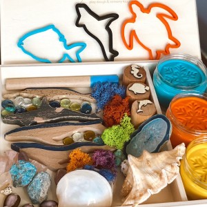 Coral Reef Play Dough Kit
