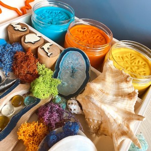 Coral Reef Play Dough Kit