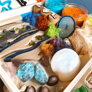 Coral Reef Play Dough Kit