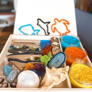 Coral Reef Play Dough Kit