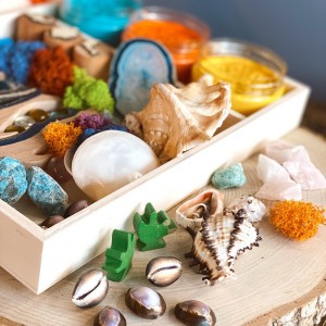 Coral Reef Play Dough Kit