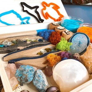 Coral Reef Play Dough Kit
