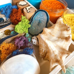 Coral Reef Play Dough Kit