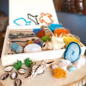 Coral Reef Play Dough Kit