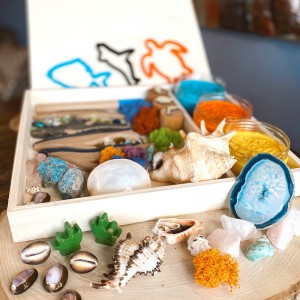 Coral Reef Play Dough Kit