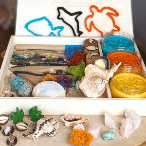 Coral Reef Play Dough Kit