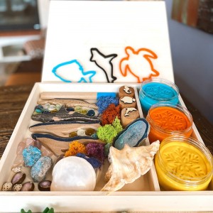 Coral Reef Play Dough Kit