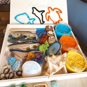 Coral Reef Play Dough Kit