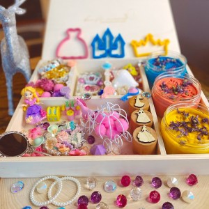 Princess Play Dough Kit