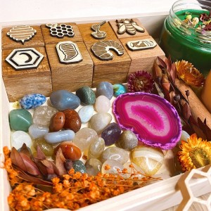 Honey Bee Life Cycle Play Dough Kit