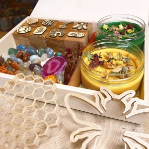 Honey Bee Life Cycle Play Dough Kit