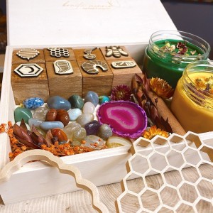 Honey Bee Life Cycle Play Dough Kit