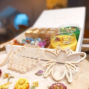 Honey Bee Life Cycle Play Dough Kit