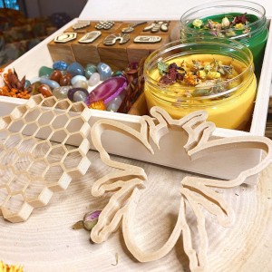 Honey Bee Life Cycle Play Dough Kit