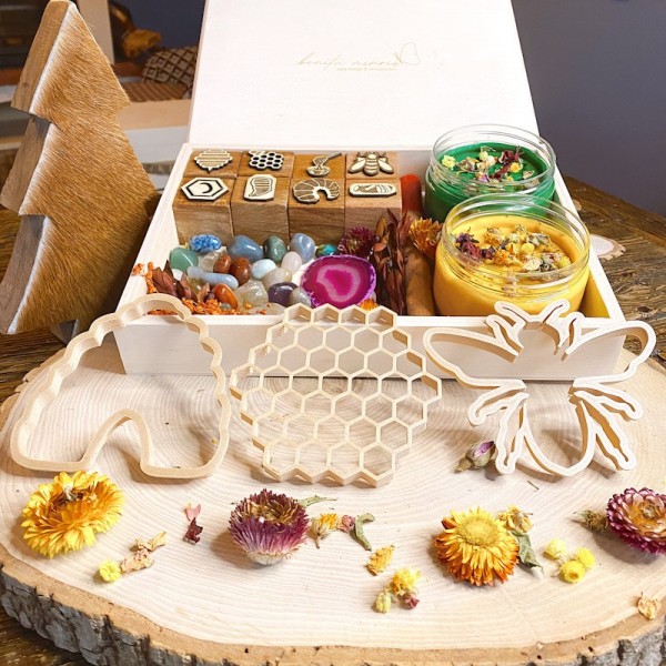 Honey Bee Life Cycle Play Dough Kit