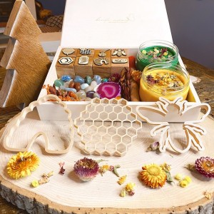 Honey Bee Life Cycle Play Dough Kit