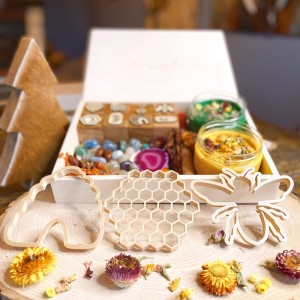 Honey Bee Life Cycle Play Dough Kit