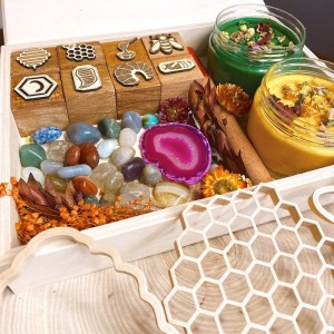 Honey Bee Life Cycle Play Dough Kit